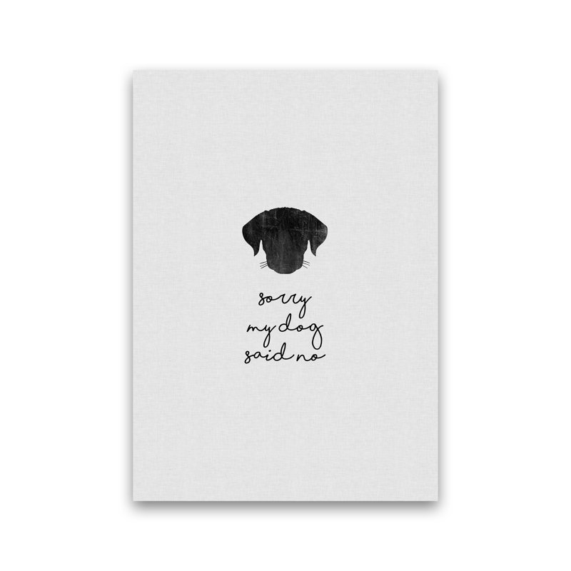 Sorry My Dog Said No 1 Piece Wall Art, 42cm H x 29.7cm W x 3cm D, Paper