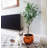 120cm Faux Olive Tree Tree in Pot Liner