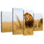 Lion safari Brampt-108894526
