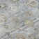 Premium Machine Washable Maag AMF1772 Global Rug