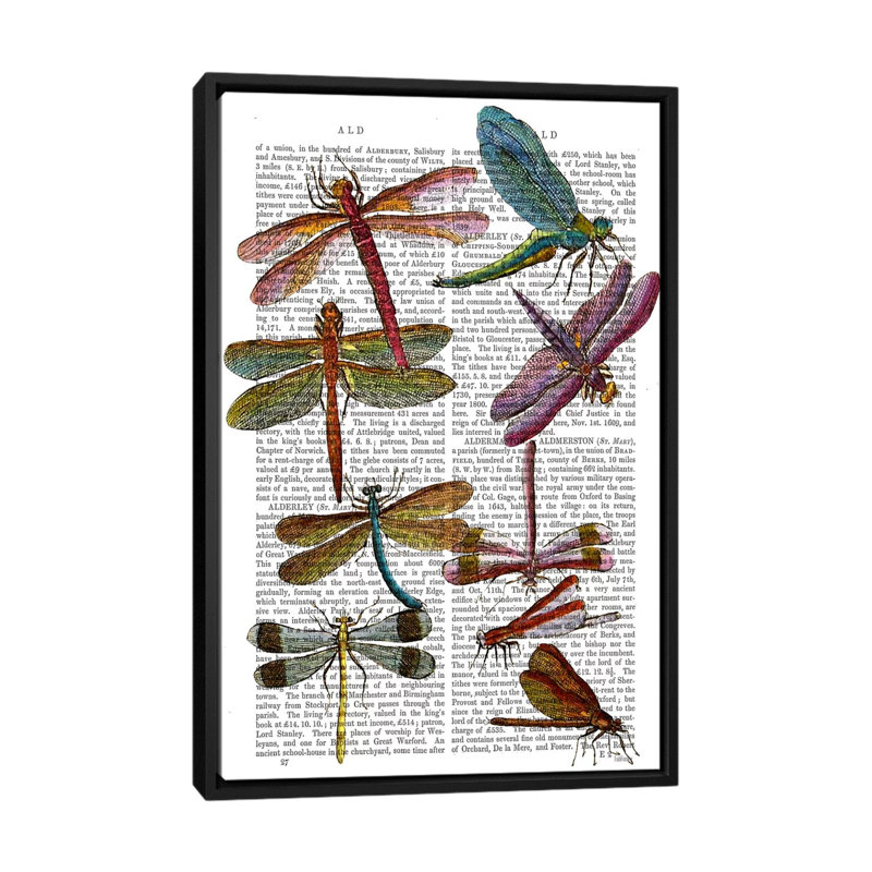 « libellule print iii », impression sur toile tendue, H 26 po x l 18 po x P 1,5 po, Toile avec cadre noir, Pas de tapis