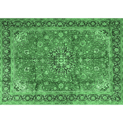 Olla Oriental Indoor Rug