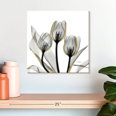 Harnek Tulips Three Band