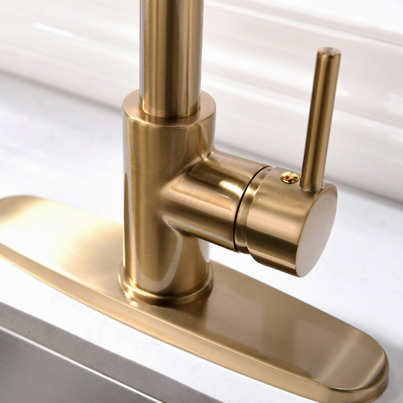 Robinet de cuisine avec douchette rétractable, robinet d'évier de cuisine à poignée simple avec plaque de pont