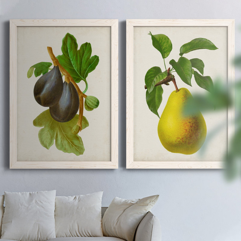 Antique Fruit VI - ensemble de 2 reproductions d'art sur toile, H 37,5 po x l 55 po x P 1,5 po, Toile blanche encadrée