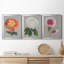 Chrysanthemum On Grey I - Ensemble de 3 peintures sur toile encadrées-1947944965-1947944971