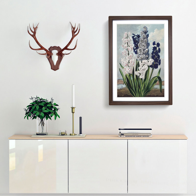 Hyacinths by R.J. Thornton - Picture Frame Painting Print, Walnut Framed, 48cm H x 36cm W x 2cm D
