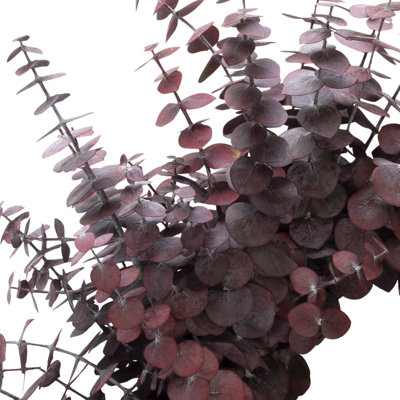 19'' Handcrafted Preserved Eucalyptus Baby Eucalyptus Wreath