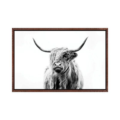 Bairdstown Portrait Of A Highland Cow by Dorit Fuhg - Print on Canvas