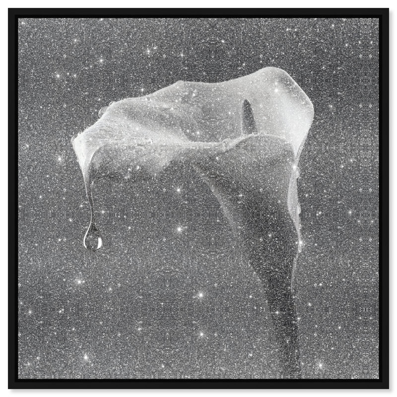 Midnight Rain Floral & Botanical Canvas Print by Oliver Gal, Black Frame, 12 x 12, 13"H x 13"W, Black Floater Frame