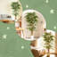 Banyan artificiel 6 pi, ensemble de 2 plantes artificielles pour la décoration intérieure