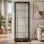 Lisa 23.75 " W Glass Curio Cabinet