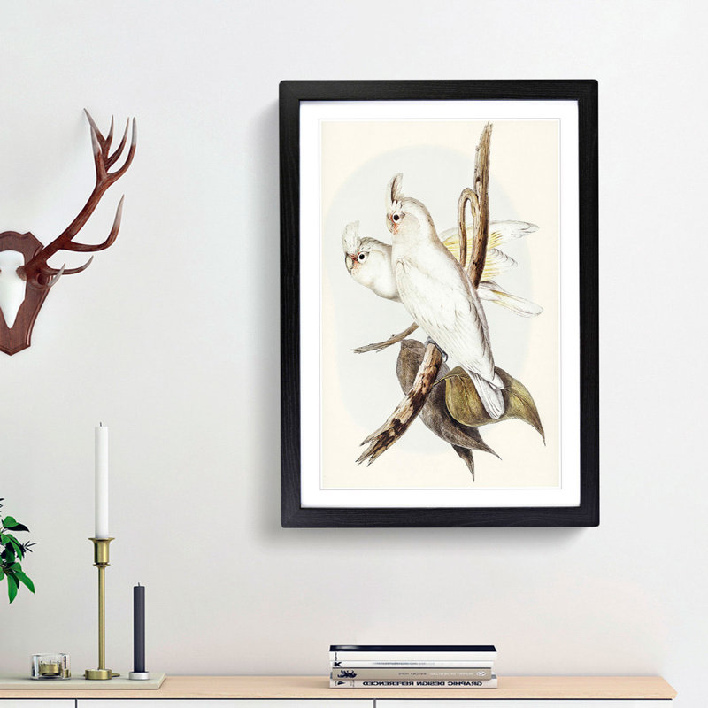 Blood-Stained Cockatoos by Elizabeth Gould - Picture Frame Art Print, 65cm H x 48cm W x 2cm D, Black Framed