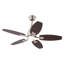 Ventilateur de plafond à 5 pales de 42 pouces avec télécommande et ensemble d'éclairage inclus-673321440