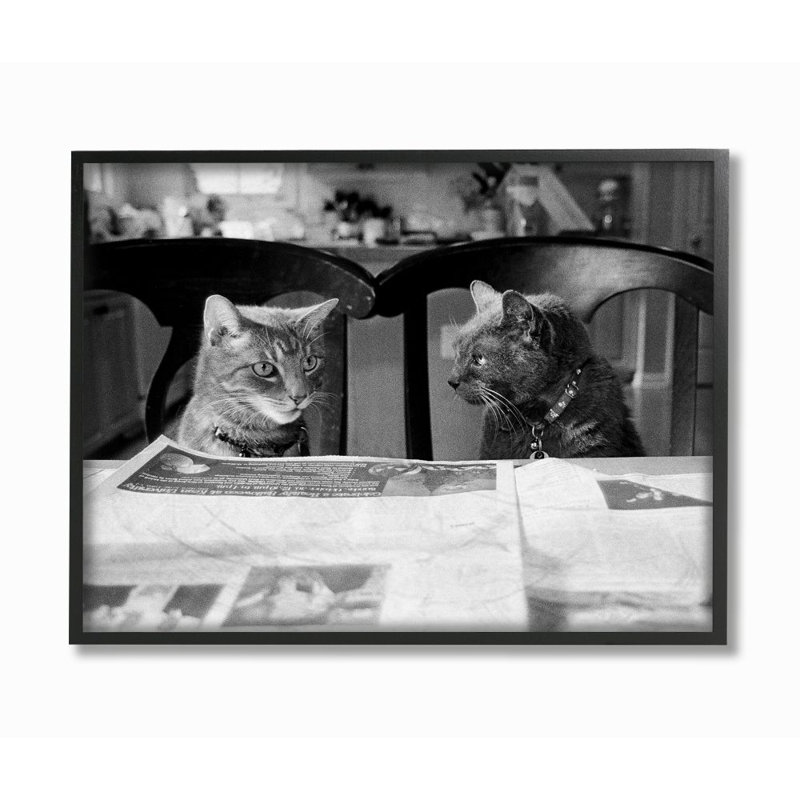 «Cats Gossiping avant le dîner», ensemble d'impression sur toile panoramique, H 16 po x l 20 po, Giclée encadrée noir minuit