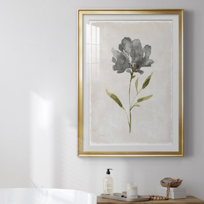 " Botanical Beauty II " Painting Print