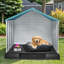 Niche pour chien en plastique avec évents et conception surélevée-1268960293-1268960295