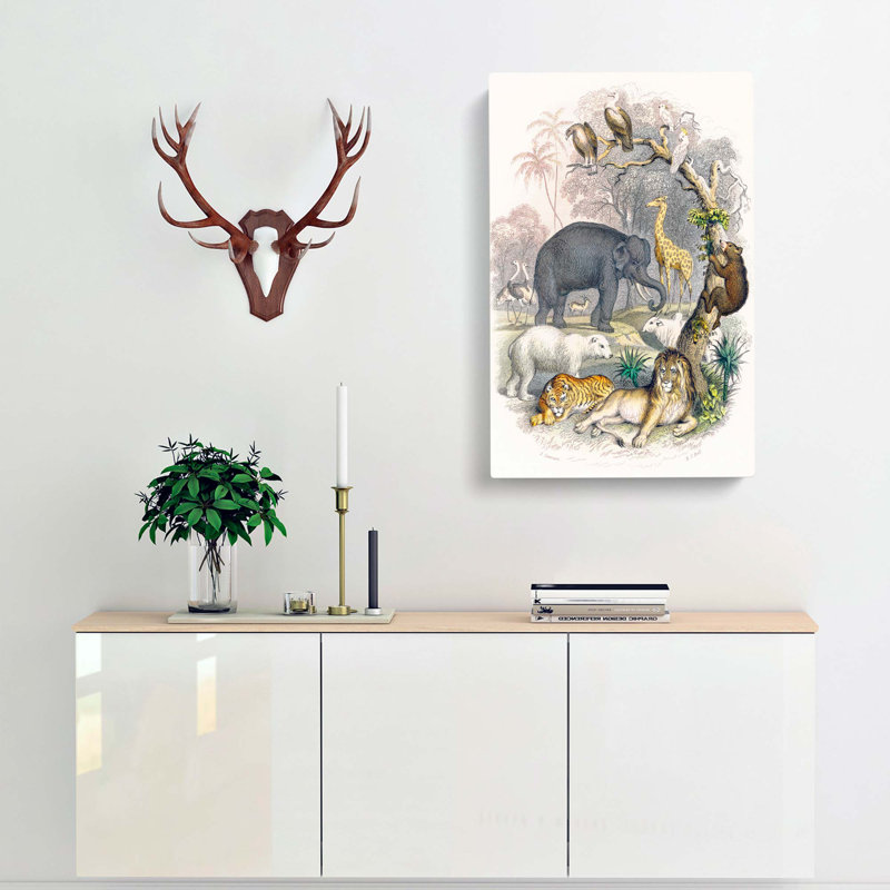 Animal Kingdom Illustration by Oliver Goldsmith - Wrapped Canvas Painting, 50cm H x 35cm W x 3cm D