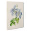 Illustration of Columbine Flowers - Wrapped Canvas-55359993
