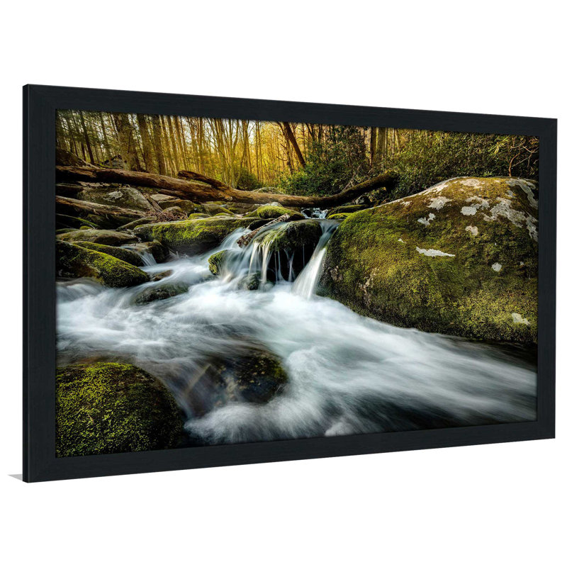 " Fallen Timber " Print, 27.5" H x 39.5" W x 0.75" D, Espresso Framed