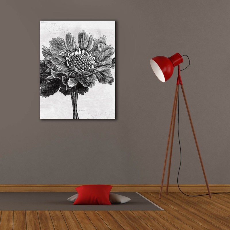 Art mural sur toile Spa Botanical 1 Bw C 'par Katie pertiet, 26 po x 34 po
