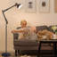 Januelle 169.9cm Black Task Floor Lamp