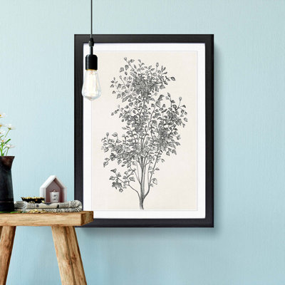 Irish Ivy by Shirley Hibberd - Framed Print