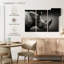 Rhino brun et blanc Brampt-108092934