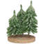Icy Downswept Pine Trio Of Trees Christmas Decoration - 8" - Unlit