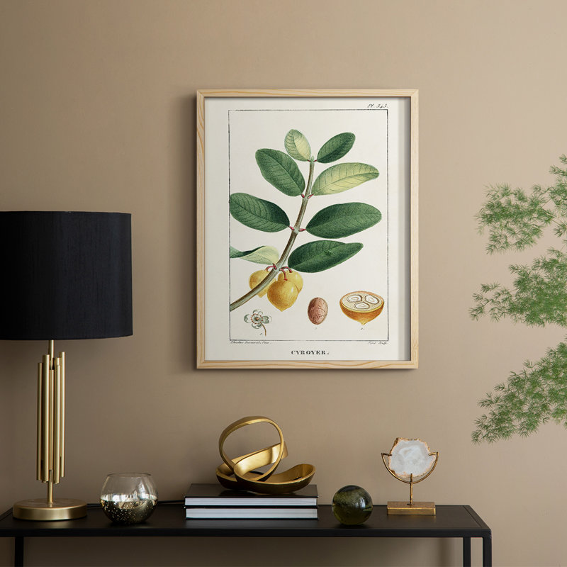 «Turpin Tropical Botanicals», reproduction encadrée en bois massif, H 11 po x l 9 po