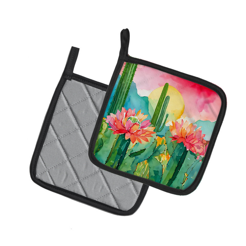 Paire de cactus Arizona Saguaro