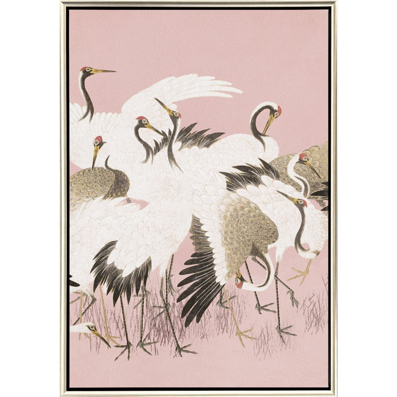 Curious Cranes - Pinna