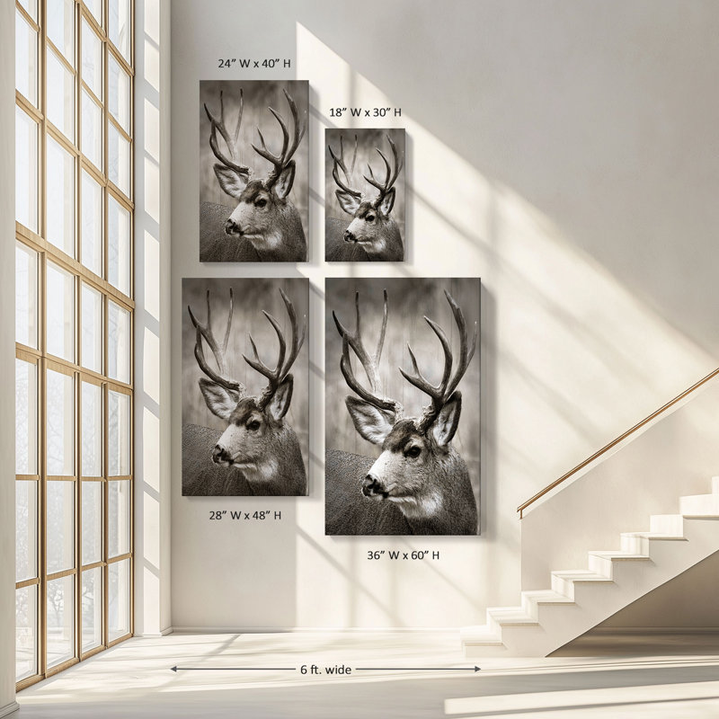 "Focused Buck" par Danita Delimont, reproduction sur toile, H 60 po x l 36 po