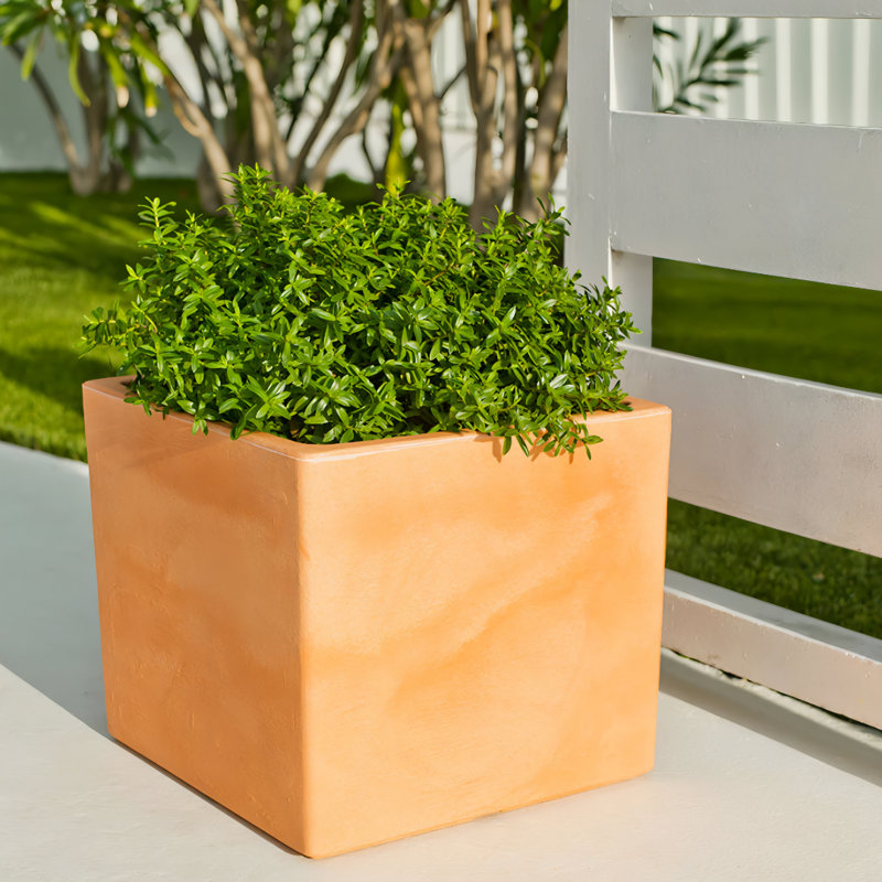 Wandie Green Polyethylene Pot Planter, Terracota, 14.2" H x 15.7" W x 15.7" D