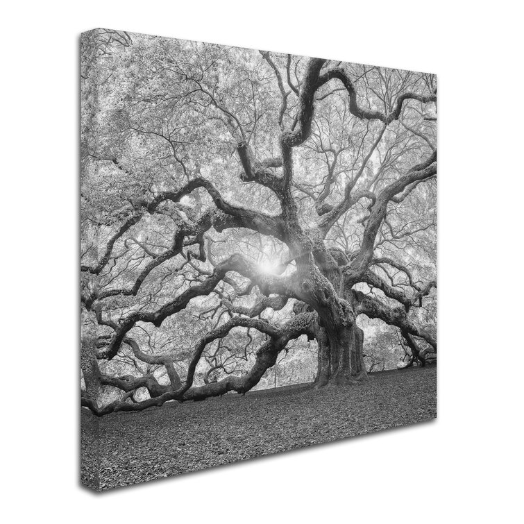 Trademark Art The Tree Square-BW 2 On Fabric by Moises Levy Print | Wayfair