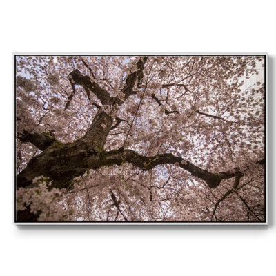 " Spring'S Arrival "