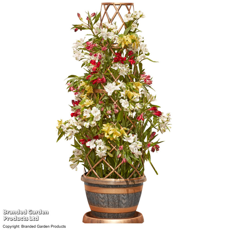 Pot Planter