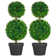 Primrue Faux Boxwood Topiary in Pot & Reviews | Wayfair