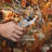 House Plant Starter Garden Tool Set