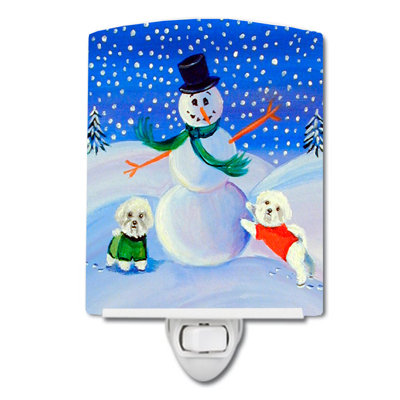 Éclairage de nuit en céramique snow bichon bichon frisé