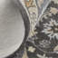 Azalea Wool Oriental Area Rug in Taupe/Blue/Ivory-1461566175