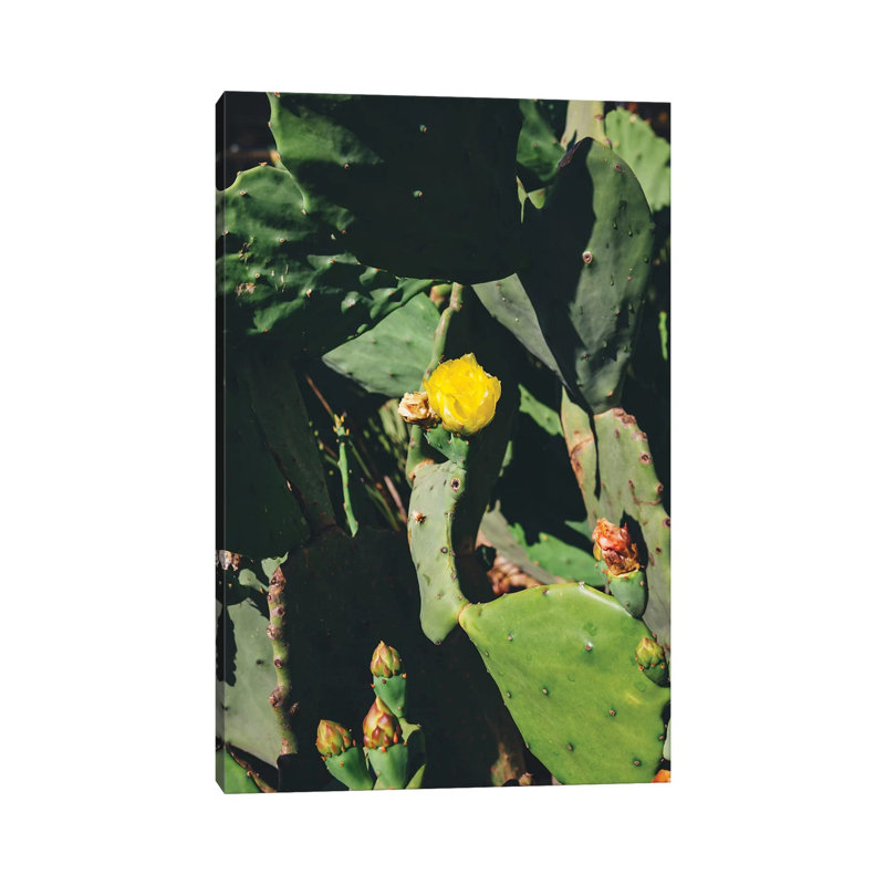 Center Bloom 1 Piece Wall Art on Canvas, 101.6cm H x 66.04cm W x 1.91cm D, Wrapped Canvas