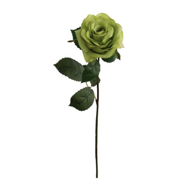 20" Open Rose Stem - 12 Pack