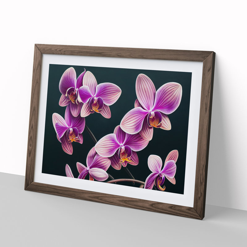 Evolving Orchid Flowers - Framed Print, 46cm H x 64cm W x 2cm D, Walnut