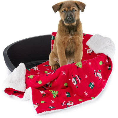 Pet Blanket