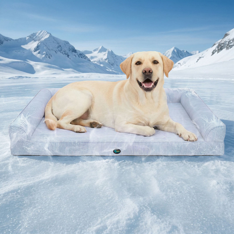 Lit orthopédique rafraîchissant pour chien, taille XL