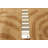 Opulence Khaki Rug 8'0" x 9'10"