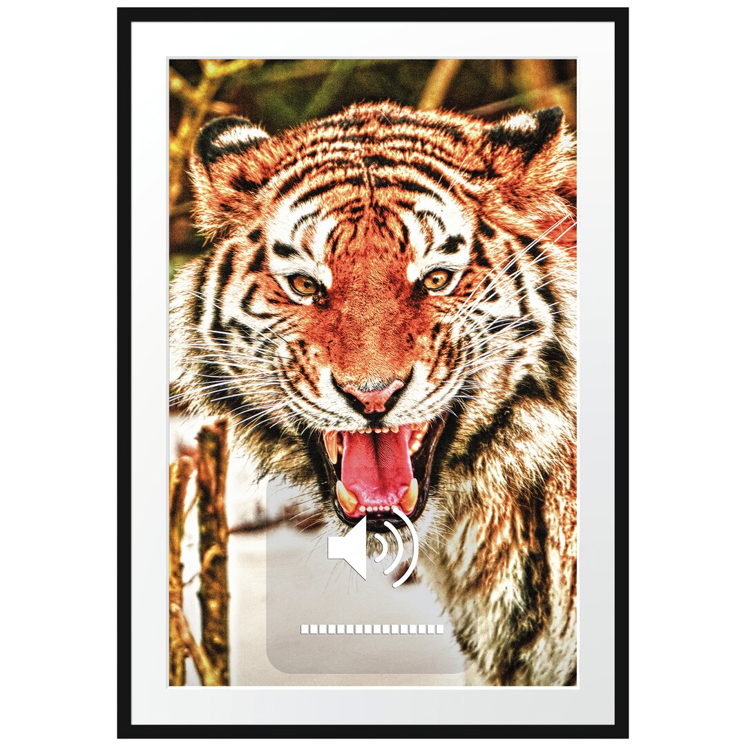 Gerahmtes Poster Tiger-Scream