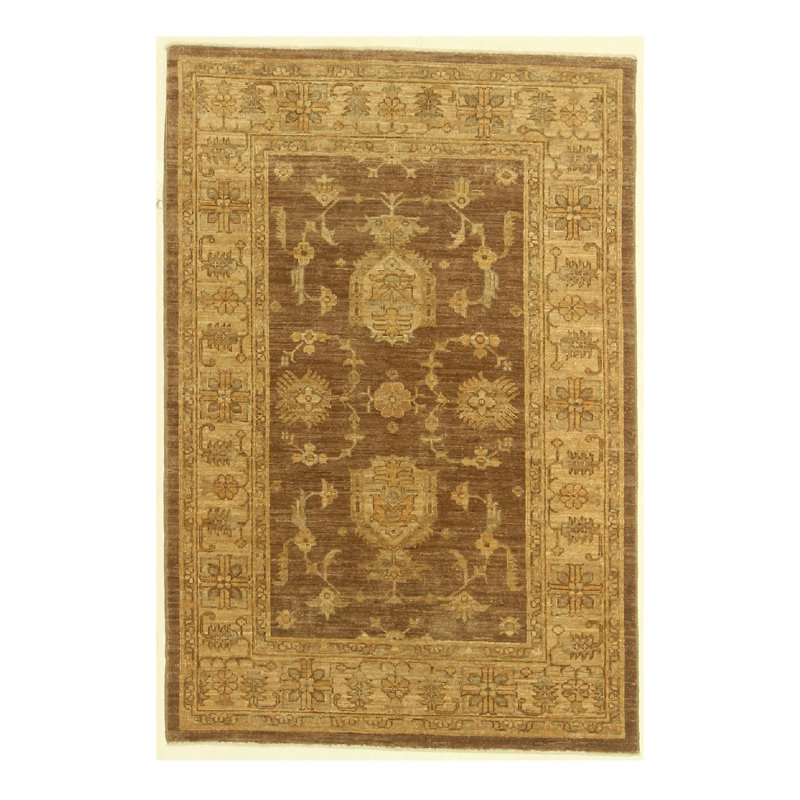 Hand Knotted Oriental Area Rug in Brown