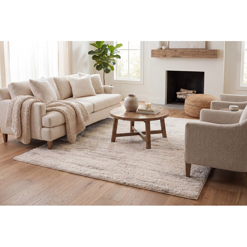 Evas 19593-900 GREY, Rectangle 6'7" x 9'